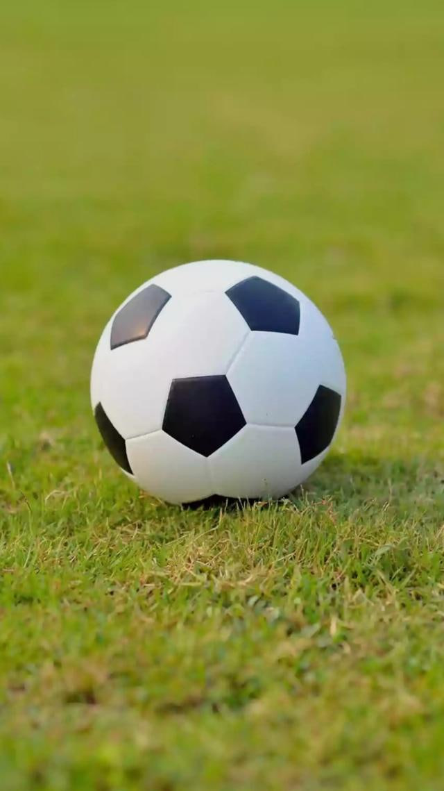 多平台下载支持